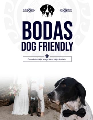 Bodas Dog friendly Hoteles Azul Ixtapa Bodas Dog friendly Hoteles Azul Ixtapa