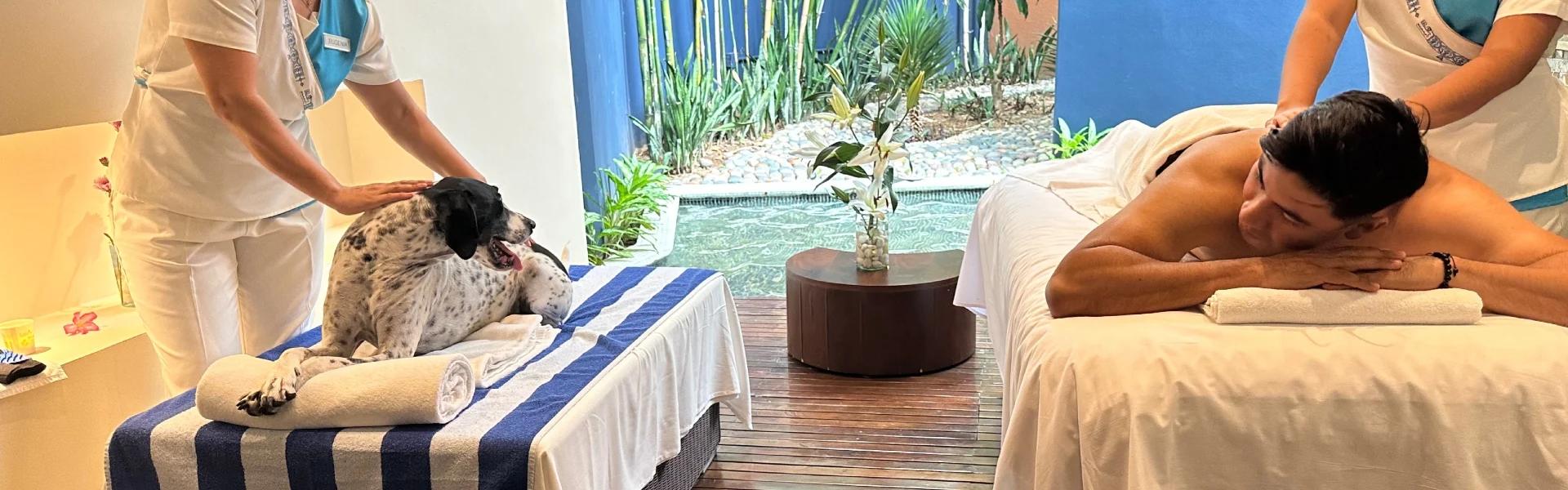 Hotel Azul Ixtapa All Inclusive Beach Resort Convention Center Ixtapa Zihuatanejo Hotel Azul Ixtapa All Inclusive Beach Resort Convention Center Ixtapa Zihuatanejo