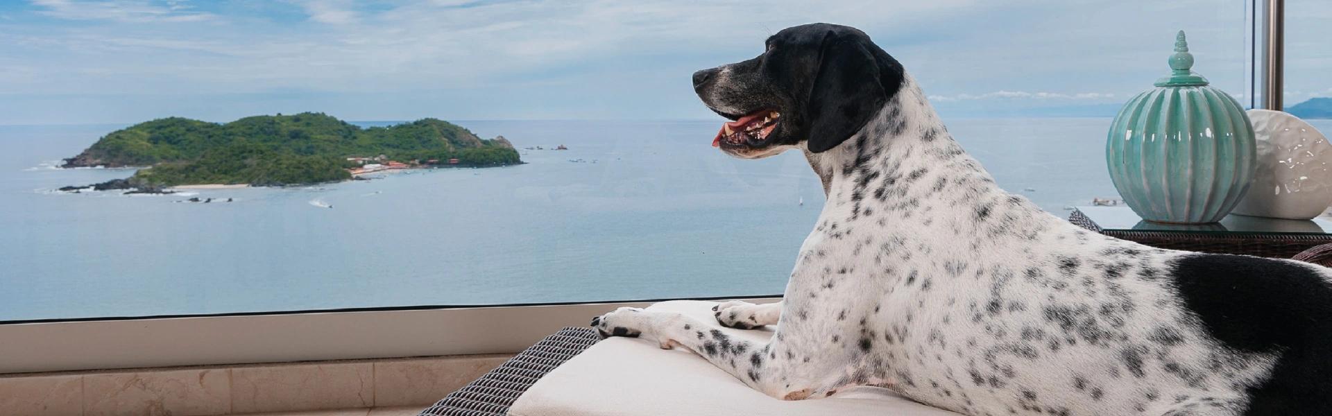 Azul Ixtapa Hotels Azul Ixtapa Hotels